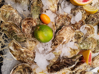 Fresh oyster sea food lie on the counter on ice in store
