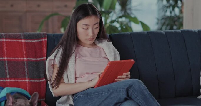 Asian young attractive woman in casual outfit sitting ofa using tablet application network internet staying home with her pet. Bulldog puppy. Family together.