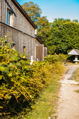 Hecke auf dem Reiterhof