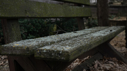Fototapeta premium Wooden bench overgrown with moss in the park, rarely used, nature absorbs human creations