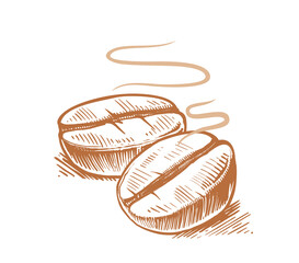 Coffee bean sketch. Hand drawing vintage clip art isolated on white background. Design for products and goods.
