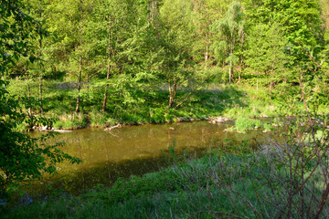 Große Striegis im Striegistal Sachsen	