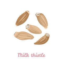 Milk thistle seeds isolated on white background. Vector illustration in cartoon flat style.