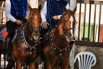 Sa Sortilla, equestrian festival in Iglesias, Sardinia, Italy