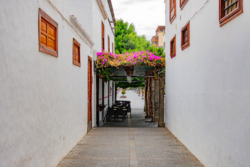 Obraz premium Pergola con flores en el verano.