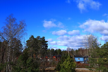 Fototapeta na wymiar One typical Swedish forest during the spring or early summer. Some red and blue houses in the background. Nice sky and light clouds. Stockholm, Sweden, Europe.