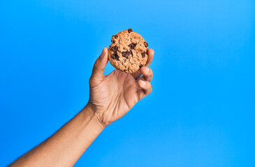 Hand of young hispanic man holding chocolate cookie over isolated blue background.