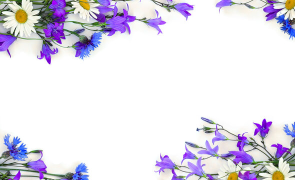 Frame of violet flowers bellflowers, chamomiles and blue cornflowers on a white background with space for text. Top view, flat lay