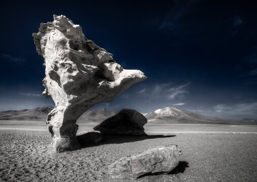 The Arbol de Piedra (stone tree) in the Eduardo Avaroa Andean Fauna National Reserve in SW Bolivia, a part of reserve referred to as the Dali Desert.   