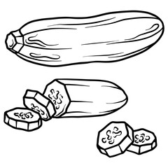 Courgette isolated on white background. Full courgette and slice. Vector hand drawn outline illustration. Ingredient for cooking. Harvest. Farm vegetable.