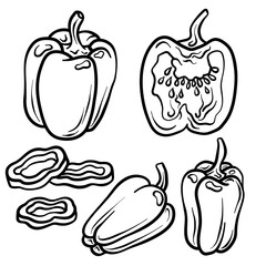 Bell pepper isolated on white background. Full Bell pepper and slice. Vector hand drawn outline illustration. Ingredient for cooking. Harvest. Farm vegetable.