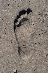 Isolated Single Foot Print on Sandy Beach 