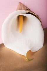 a white flower in a golden cone