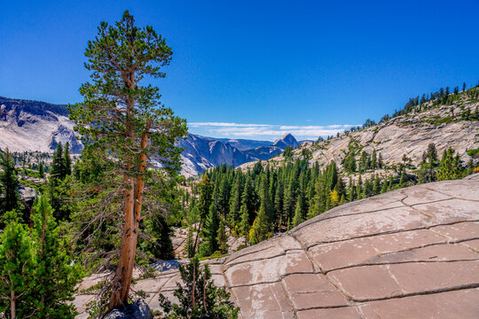 Half dome from olmsted point