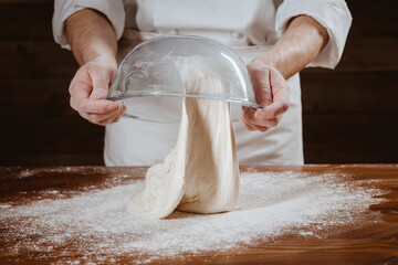 impasto No Knead pizza