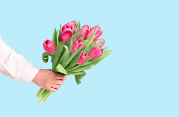 Bunch bouquet of pink tulips in female hand on blue. Banner with copy space, Birthday gift. Valentines 8 March Women's or Mothers Day celebration greeting card floral. Spring