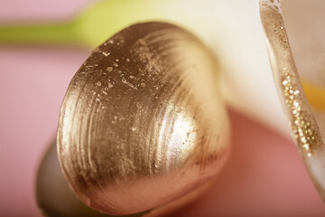 golden shell on a pink background