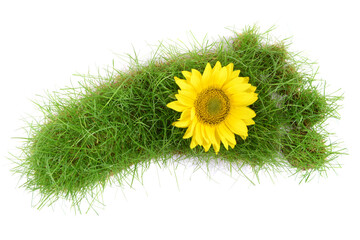 Fußabdruck aus Gras mit Blume - Freigestellt