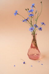 selective focus. Glass vase with beautiful wildflowers on a pink background. Cornflowers top view. Banner. copy space © Galina