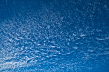 Clean off-white cirrus clouds in blue sky.