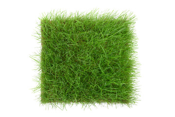 Gras Quadrat Hintergrund - Freigestellt auf weiß