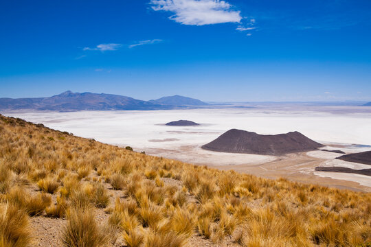 The northern edge of the Salar de Uyuni  on Bolivia's Altiplano has islands surrounded by the world's largest salt flat.  