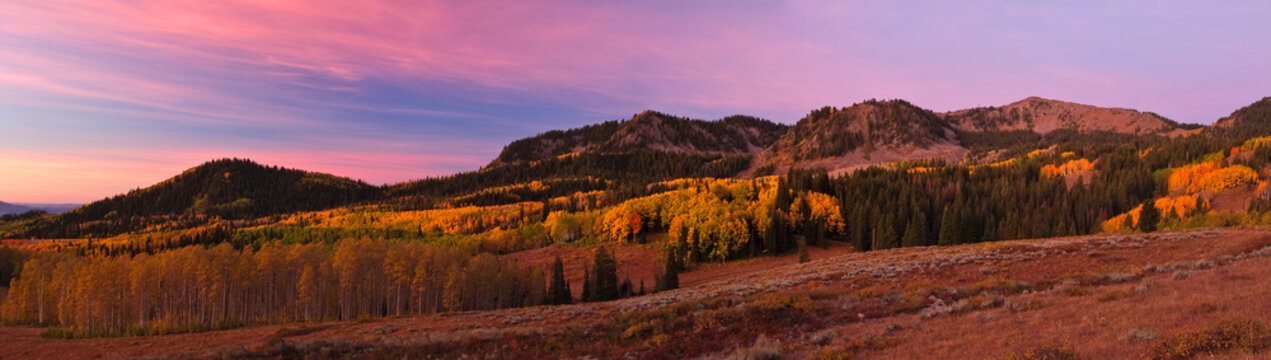 Soft morning light on a fall morning in the Wasatch Mountains.     
