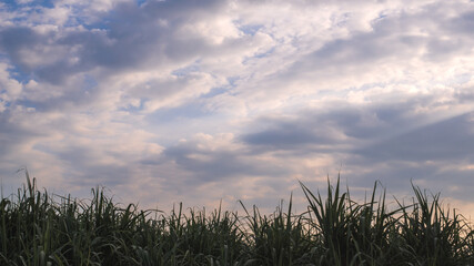 The sky at dusk, there is light in the clouds, with the grassland in front.