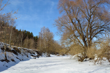 Spring walk through the forest