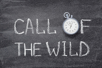 call of the wild watch