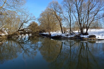 Spring walk through the forest