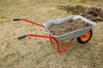 The garden wheelbarrow is filled with black earth. Spring cleaning the garden.cart for carrying cargo in the park, Tool for gardening and home farming.gardening concept