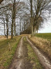 path in the countryside