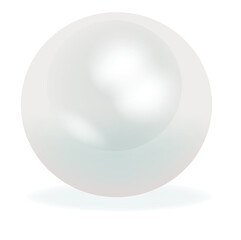 Realistic natural white pearl on background.Oyster pearl for accessories.