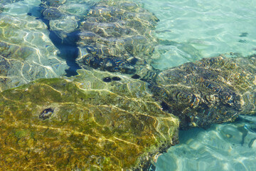 ater texture with ripple useful as a background