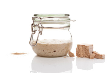 Different types of yeast.