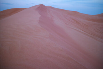 sand texture, desert with sand