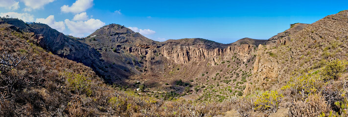 Landscape of a crater of a volcano in Canary Islands, crater Bandama, Gran Canaria Island, endemic flora typical for basalt lava soil.