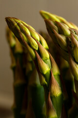 mazzetto di asparagi crudi