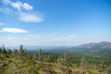 View from the Cairngorms towards Loch Morlich