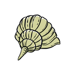 colorful seashell illustration. animated nautical animal in vector graphic for creative design. aquatic object animation isolated on white background.