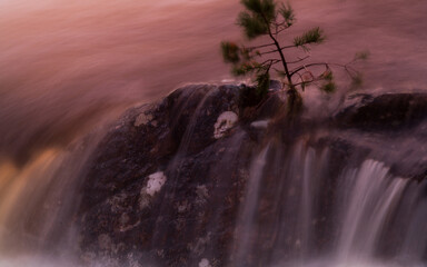 A waterfall with a lonely tree