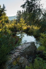 mountain river in autumn