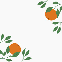 Orange fruit frame. Vector illustration. 