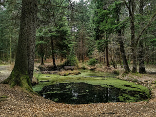 relax in nature
