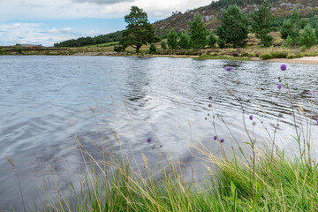 Countryside at Lochindorb