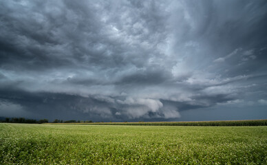 storm clouds above the green field