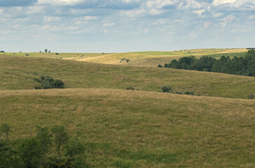 Obraz premium Hilly landscape photo with blue sky's