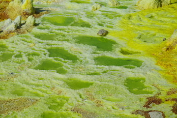 Paysage volcanique de Dallol en Ethiopie