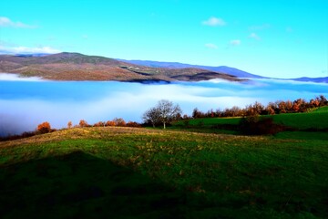 Fototapeta na wymiar foggy valley with beatiful nature landscape